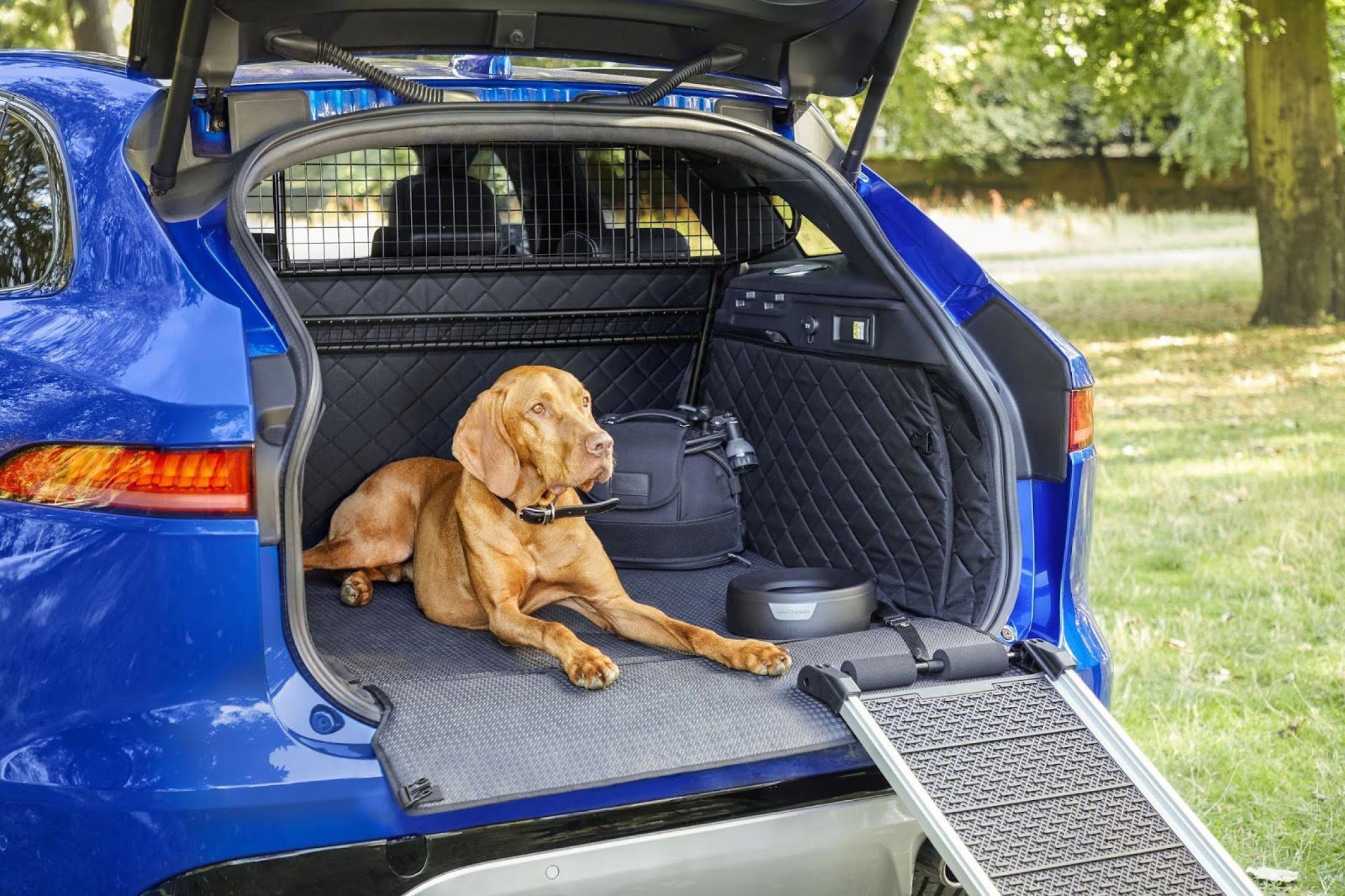 Jaguar launches new range of bespoke pet lifestyle accessories
