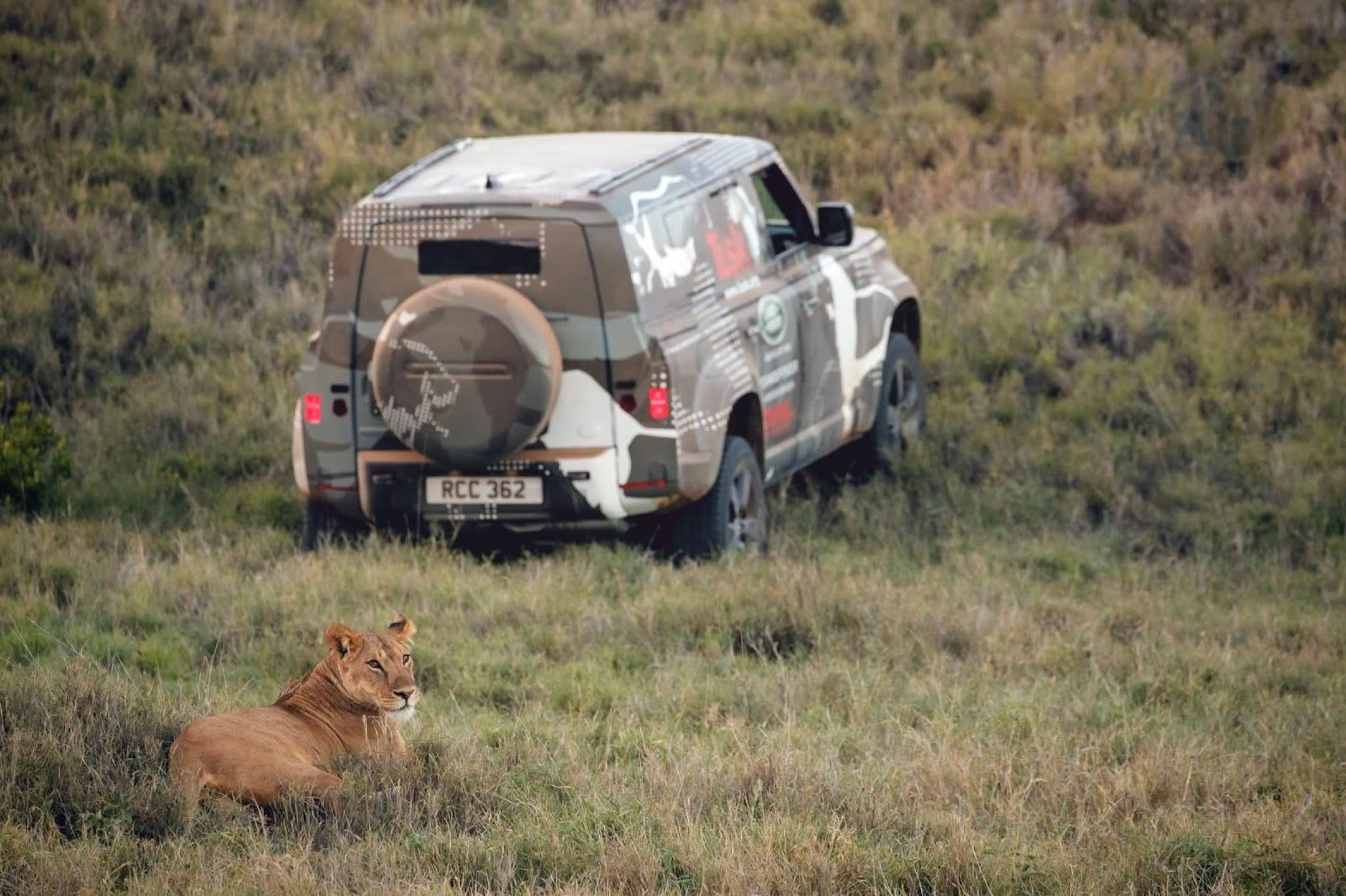 New Land Rover Defender supports lion conservation initiative in Kenya